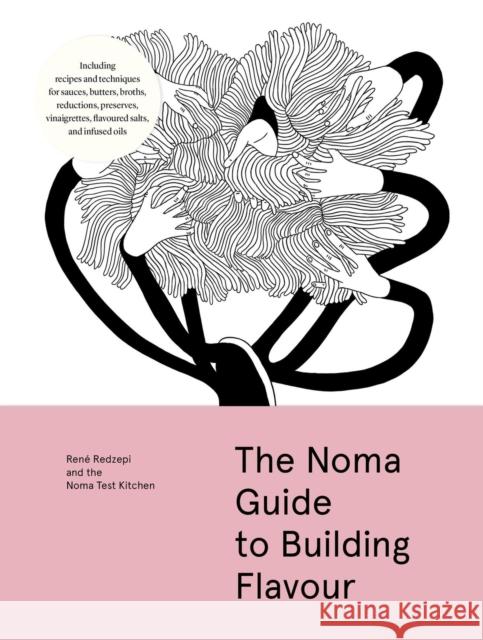 The Noma Guide to Building Flavour Rene Redzepi 9781579657192 Artisan Publishers - książka
