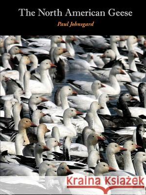 The North American Geese: Their Biology and Behavior Paul Johnsgard 9781609620943 Zea Books - książka