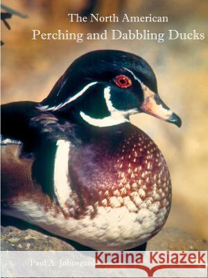 The North American Perching and Dabbling Ducks Paul Johnsgard 9781609621094 Zea Books - książka