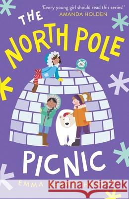 The North Pole Picnic: Playdate Adventures Emma Beswetherick 9780861541034 Rock the Boat - książka