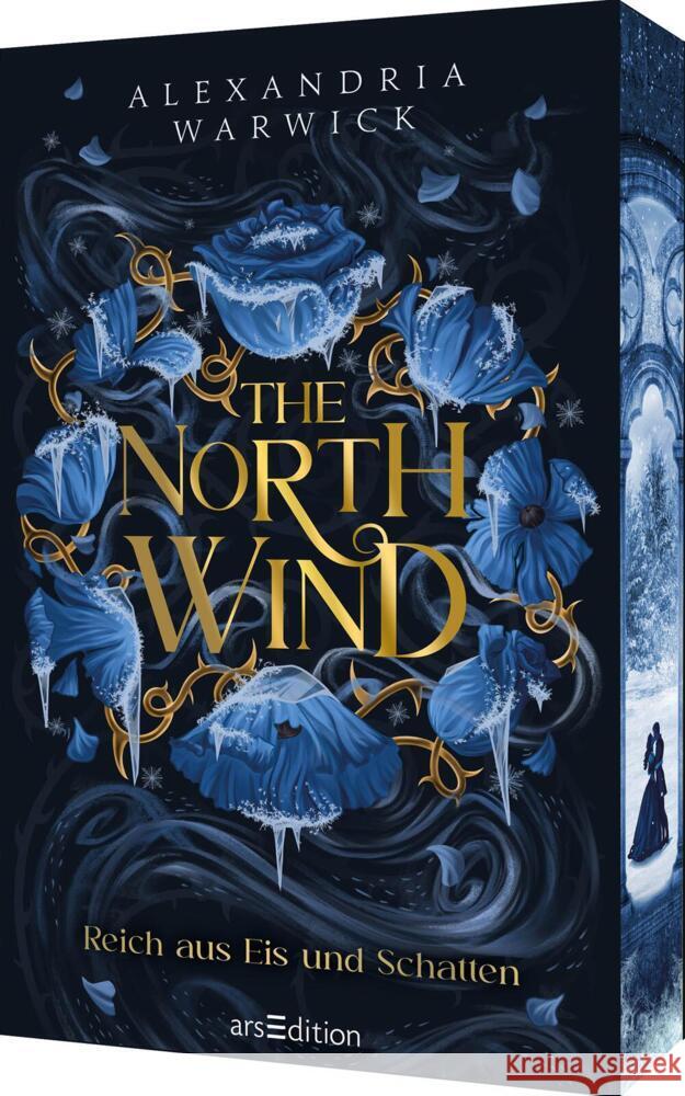 The North Wind - Reich aus Eis und Schatten (The Four Winds 1) Warwick, Alexandria 9783845861074 ars edition - książka