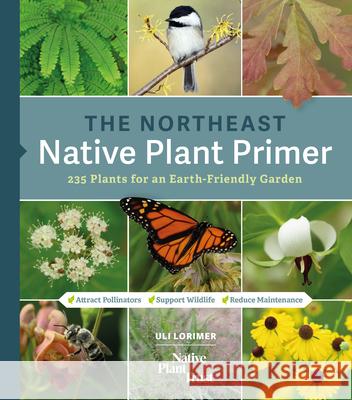The Northeast Native Plant Primer: 235 Plants for an Earth-Friendly Garden Lorimer, Uli 9781643260464 Timber Press (OR) - książka