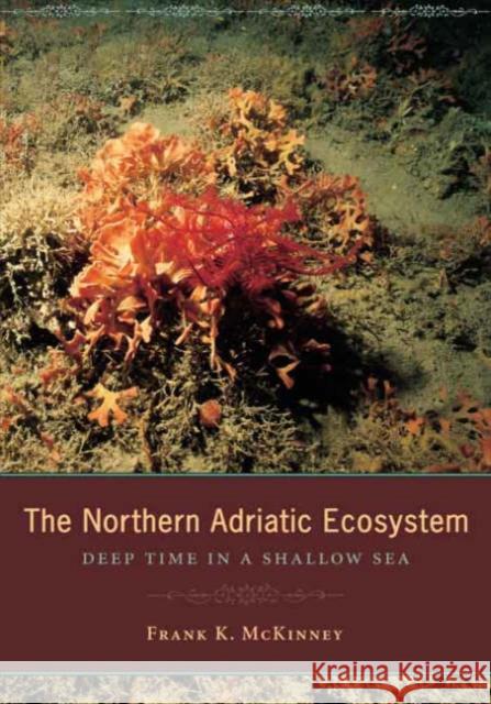The Northern Adriatic Ecosystem: Deep Time in a Shallow Sea McKinney, Frank 9780231132428 Columbia University Press - książka
