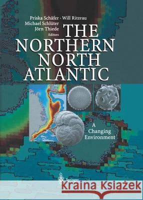 The Northern North Atlantic: A Changing Environment Schäfer, Priska 9783540672319 Springer - książka