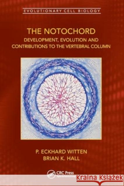 The Notochord: Development, Evolution and Contributions to the Vertebral Column P. Eckhard Witten Brian K. Hall 9781032162683 CRC Press - książka