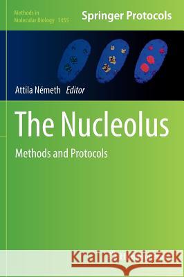 The Nucleolus: Methods and Protocols Németh, Attila 9781493937905 Humana Press - książka