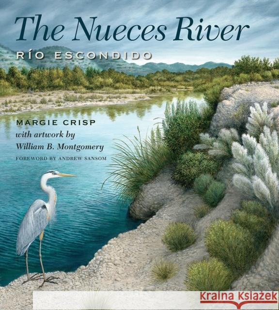 The Nueces River: Río Escondido Crisp, Margie 9781623495152 Texas A&M University Press - książka