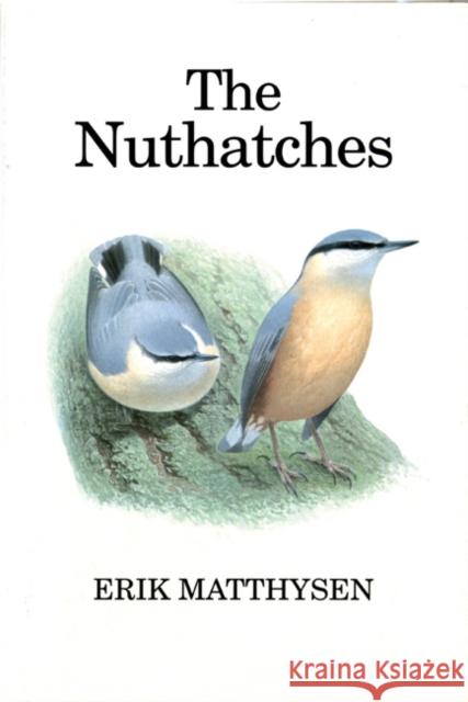 The Nuthatches Erik Matthysen, David Quinn 9780856611018 Bloomsbury Publishing PLC - książka