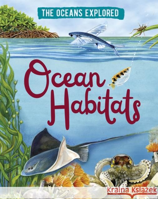 The Oceans Explored: Ocean Habitats Claudia Martin 9781526314376 Hachette Children's Group - książka