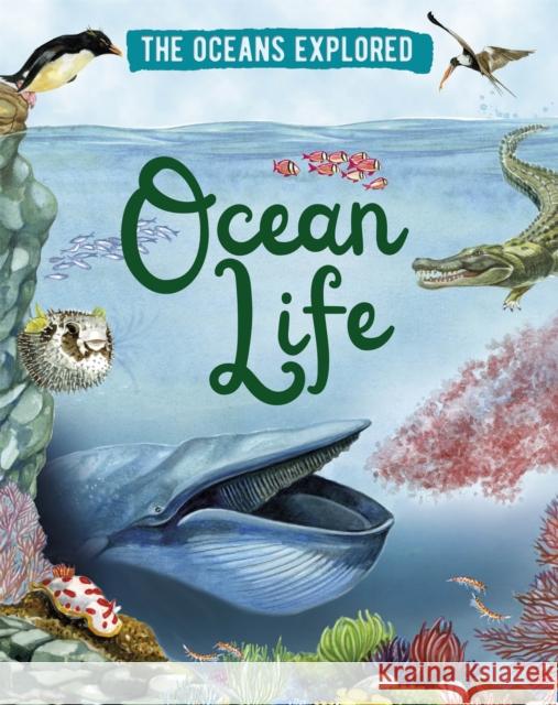 The Oceans Explored: Ocean Life Claudia Martin 9781526314314 Hachette Children's Group - książka
