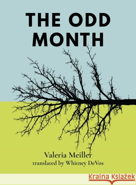 The Odd Month  9781939568915 Black Ocean - książka