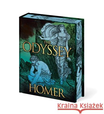 The Odyssey Homer                                    George Davidson Alexander Pope 9781398862487 Sirius Entertainment - książka