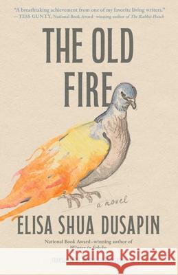 The Old Fire Elisa Shua Dusapin Aneesa Abbas Higgins 9781668212219 S&s/Summit Books - książka