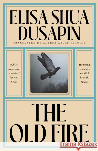 The Old Fire Elisa Shua Dusapin 9781917092333 Daunt Books - książka