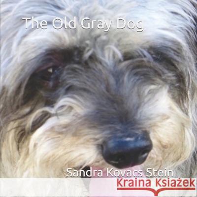 The Old Gray Dog Sandra Kovacs Stein 9798502854719 Independently Published - książka