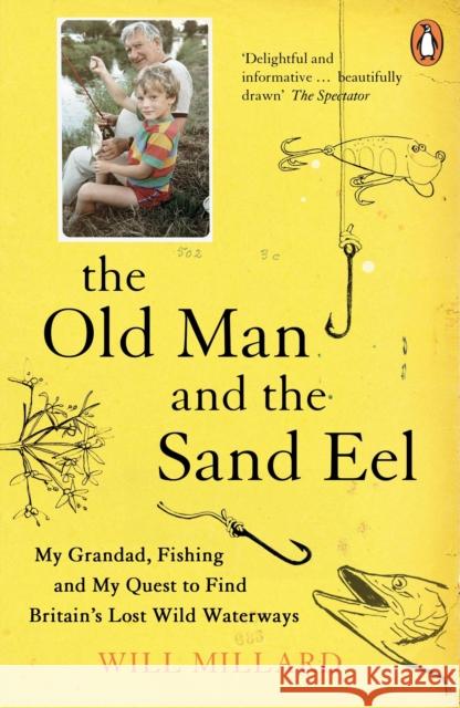 The Old Man and the Sand Eel Will Millard 9780241977705 Penguin Random House UK - książka