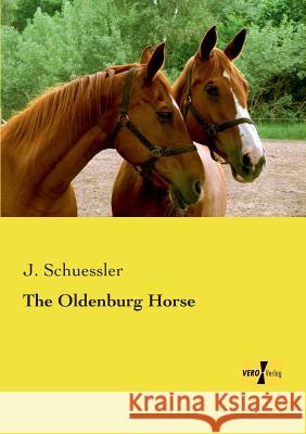 The Oldenburg Horse J Schuessler 9783737200974 Vero Verlag - książka