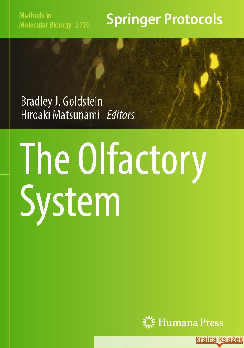 The Olfactory System  9781071634271 Springer US - książka