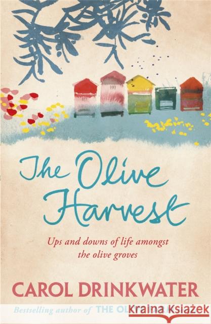 The Olive Harvest: A Memoir of Love, Old Trees, and Olive Oil Drinkwater, Carol 9780753829363 Orion Publishing Co - książka