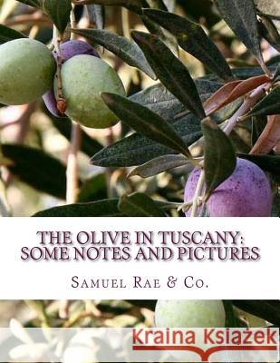 The Olive In Tuscany: Some Notes and Pictures Chambers, Roger 9781985083479 Createspace Independent Publishing Platform - książka