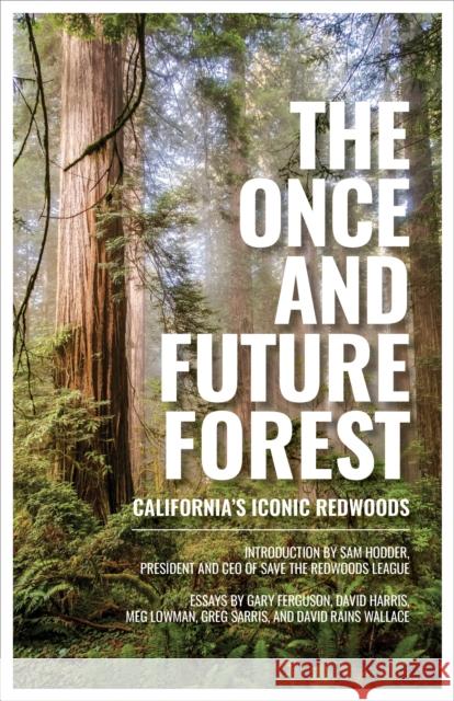 The Once and Future Forest: California's Iconic Redwoods Save the Redwoods League                 Sam Hodder 9781597145565 Heyday Books - książka