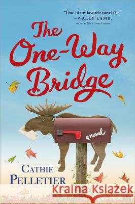 The One-Way Bridge Cathie Pelletier 9781402287619 Sourcebooks Landmark - książka