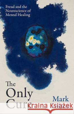 The Only Cure: Freud and the Neuroscience of Mental Healing Mark Solms 9781399623384 Orion - książka