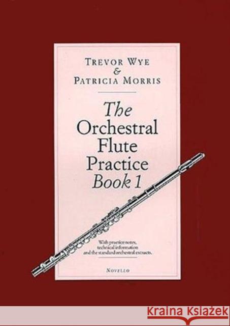 The Orchestral Flute Practice Book 1 Trevor Wye, Patricia Morris 9780853608066 Novello & Co Ltd - książka