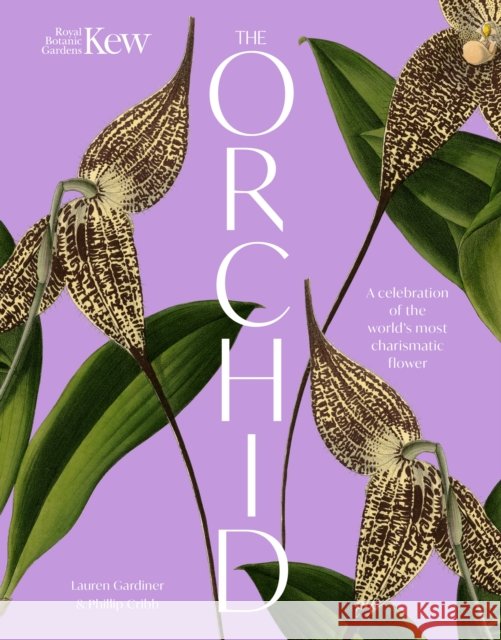 The Orchid: A celebration of the world's most charismatic flower Royal Botanic Gardens Kew 9781035427727 Welbeck - książka