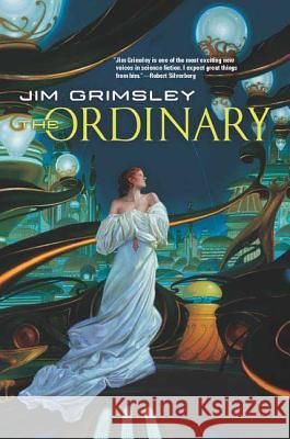 The Ordinary Jim Grimsley 9780765305299 Tor Books - książka