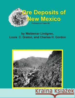 The Ore Deposits of New Mexico Waldemar Lindgren Louis C. Graton Charles H. Gordon 9781614740124 Sylvanite, Inc - książka