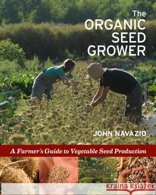 The Organic Seed Grower: A Farmer's Guide to Vegetable Seed Production John Navazio 9781645020943 Chelsea Green Publishing Co - książka