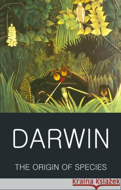 The Origin of Species Darwin Charles 9781853267802 Wordsworth Editions Ltd - książka