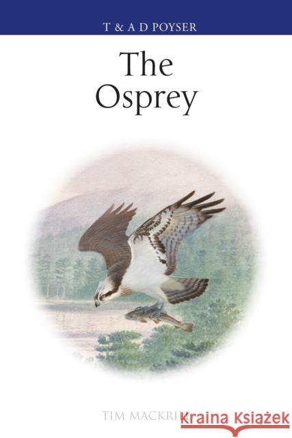 The Osprey Tim (Author) Mackrill 9781472919908 Bloomsbury Publishing PLC - książka