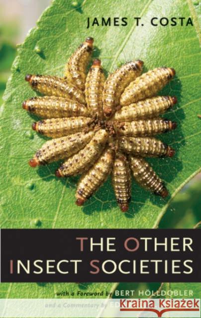 The Other Insect Societies James T. Costa 9780674021631 Belknap Press - książka