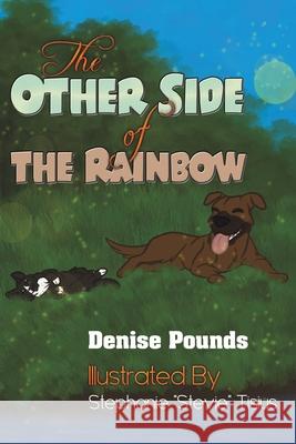 The Other Side of the Rainbow Denise Pounds 9781647502805 Austin Macauley Publishers LLC - książka