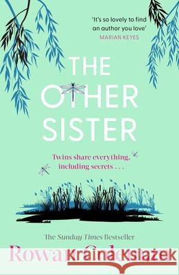 The Other Sister Rowan Coleman 9781804950463 Cornerstone - książka