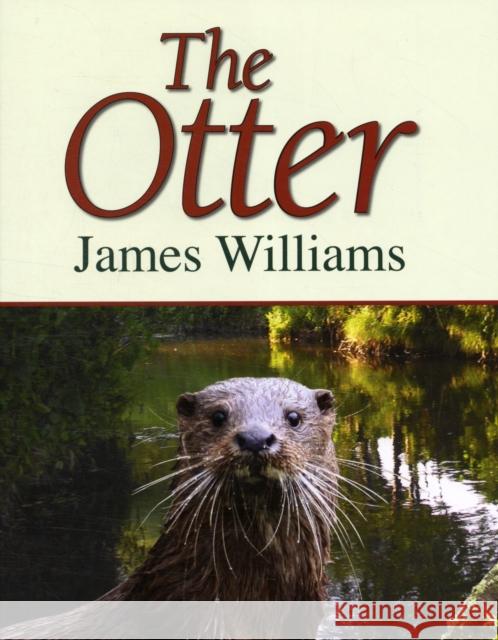 The Otter James Williams 9781906122225 MERLIN UNWIN BOOKS - książka