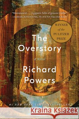 The Overstory Powers, Richard 9780393356687  - książka