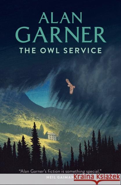 The Owl Service Alan Garner 9780007127894 HarperCollins Publishers - książka