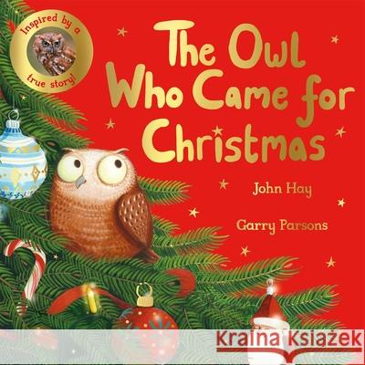 The Owl Who Came for Christmas John Hay 9781529070507 Pan Macmillan - książka