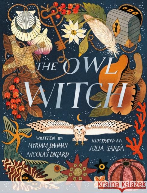 The Owl Witch Nicolas Digard 9781408371626 Hachette Children's Group - książka