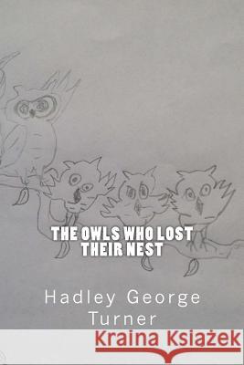 The Owls Who Lost Their Nest Hadley George Turner 9780992988142 Sasmjadahoha Publishing - książka