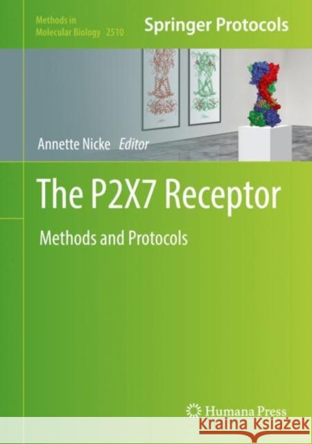 The P2X7 Receptor: Methods and Protocols Nicke, Annette 9781071623831 Springer US - książka