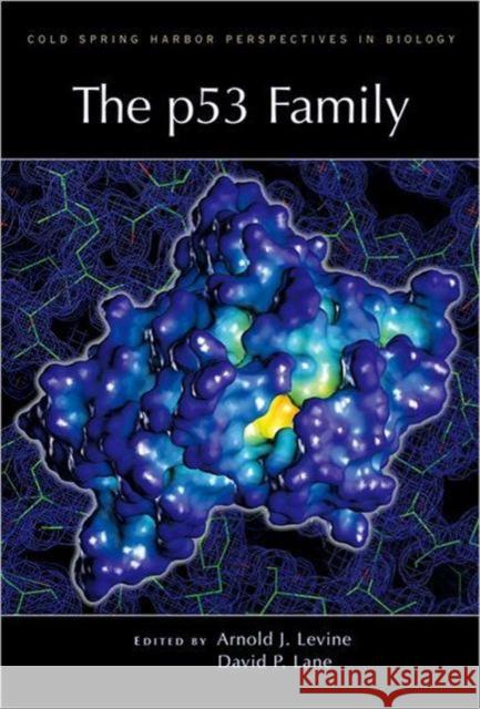 The P53 Family : A Subject Collection from Cold Spring Harbor Perspectives in Biology Arnold J. Levine David P. Lane 9780879698300 Cold Spring Harbor Laboratory Press - książka