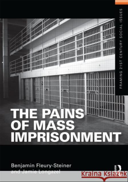 The Pains of Mass Imprisonment Benjamin Fleury Steiner 9780415518833  - książka