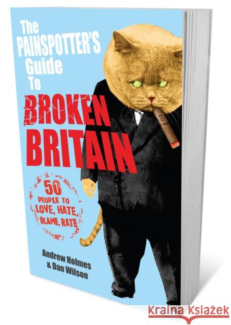 The Painspotter's Guide to Broken Britain: 50 People to Love, Hate, Blame, Rate Holmes, Andrew 9781906465711 John Wiley & Sons - książka