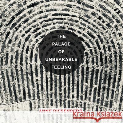 The Palace of Unbearable Feeling Riesenberg                               Martha McCollough Eileen Cleary 9781957755151 Lily Poetry Review - książka