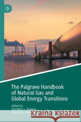 The Palgrave Handbook of Natural Gas and Global Energy Transitions  9783030915681 Springer International Publishing - książka