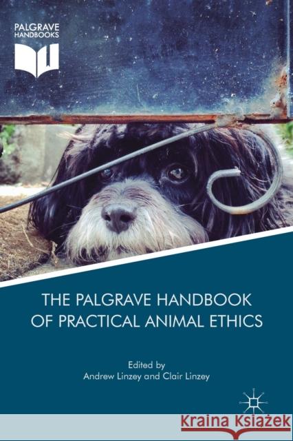 The Palgrave Handbook of Practical Animal Ethics Andrew Linzey Clair Linzey 9781349676378 Palgrave MacMillan - książka
